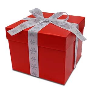 Christmas packaging Boxes for Business