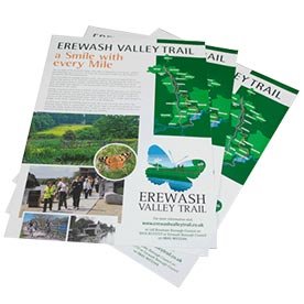 Custom Flyers Printing